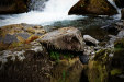 Thumbnail img_6586.jpg 