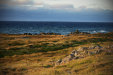Thumbnail img_6816.jpg 