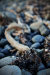 Thumbnail img_6834.jpg 
