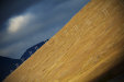 Thumbnail img_7135.jpg 
