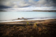 Thumbnail img_7303.jpg 