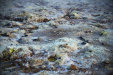 Thumbnail img_7384.jpg 
