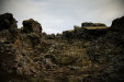 Thumbnail img_7482.jpg 
