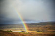 Thumbnail img_7580.jpg 