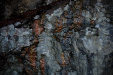 Thumbnail img_7704.jpg 