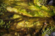 Thumbnail img_7759.jpg 