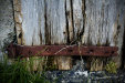 Thumbnail img_7770.jpg 