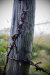 Thumbnail img_7814.jpg 