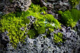 Thumbnail img_8029.jpg 