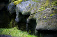 Thumbnail img_8158.jpg 
