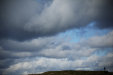 Thumbnail img_2606.jpg 