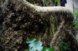 Thumbnail img_2767.jpg 
