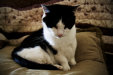 Thumbnail img_2819.jpg 