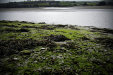 Thumbnail img_2827.jpg 