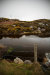 Thumbnail img_2852.jpg 