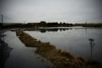 Thumbnail img_2853.jpg 