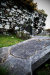 Thumbnail img_3017.jpg 