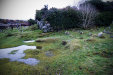 Thumbnail img_3043.jpg 