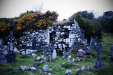 Thumbnail img_3053.jpg 