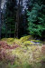 Thumbnail img_3074.jpg 