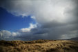 Thumbnail img_3218.jpg 