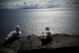 Thumbnail img_3296.jpg 