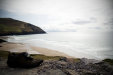 Thumbnail img_3302.jpg 