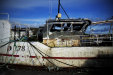 Thumbnail img_3346.jpg 