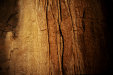 Thumbnail img_3455.jpg 