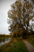 Thumbnail _mg_8836.jpg 