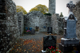 Thumbnail _mg_9006.jpg 