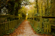 Thumbnail _mg_9107.jpg 