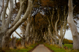 Thumbnail _mg_9226.jpg 