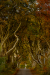 Thumbnail _mg_9239.jpg 