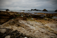 Thumbnail _mg_9504.jpg 