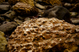 Thumbnail _mg_9522.jpg 