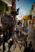 Thumbnail _mg_0258.jpg 