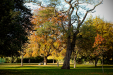 Thumbnail _mg_0304.jpg 