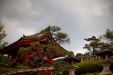 Thumbnail _mg_2237.jpg 