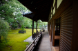 Thumbnail _mg_2382.jpg 