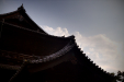 Thumbnail _mg_2605.jpg 