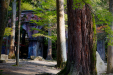 Thumbnail _mg_2617.jpg 