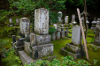 Thumbnail _mg_2775.jpg 