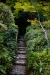 Thumbnail _mg_2805.jpg 
