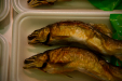 Thumbnail _mg_2904.jpg 