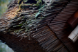 Thumbnail _mg_2947.jpg 