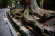 Thumbnail _mg_3006.jpg 