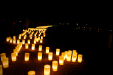 Thumbnail _mg_3236.jpg 