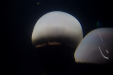 Thumbnail _mg_3684.jpg 