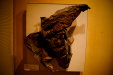 Thumbnail _mg_3815.jpg 